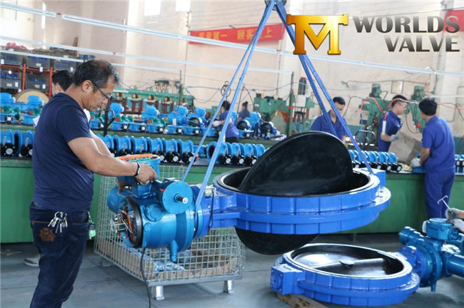 Rubber Coated Wafer Butterfly Valve