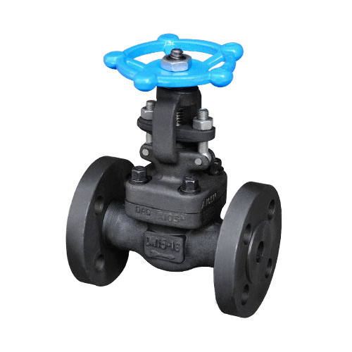 Forged Flange Gate Valve Carbon Steel Dn 15-50