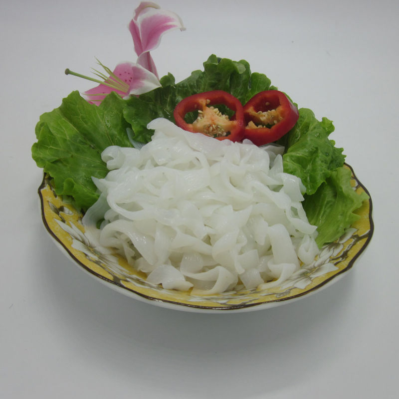 Popular Quality Konjac Ready Noodles Shirataki