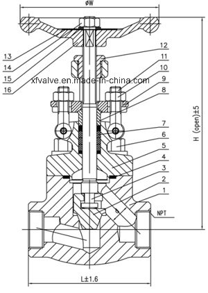 API602 Forged Carbon Steel A105 Thread End NPT Globe Valve