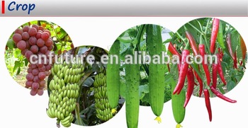 Organic Humic Acid Tellurium Fertilizer for Agriculture