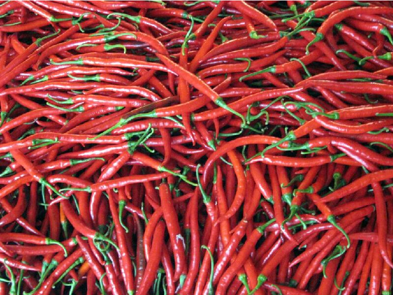 2014 New Crop Dried Red Chili Peppers