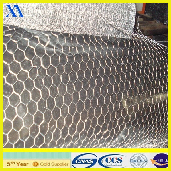 High Quality Cheap Hexagonal Wire Mesh (XA-HM416)