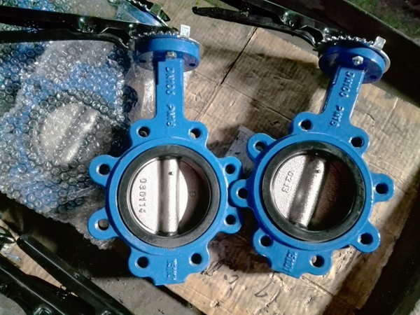 Lug Type Butterfly Valve with Pin