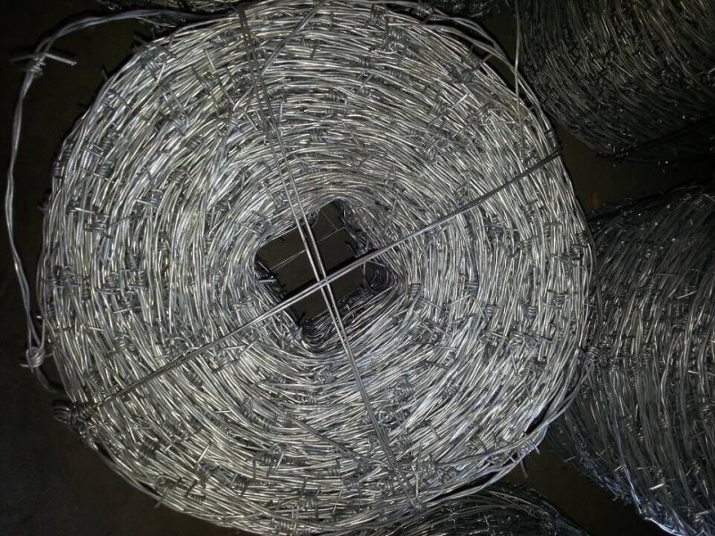 Galvanized Iron Barbed Wire in Electro and Hot-Dipped