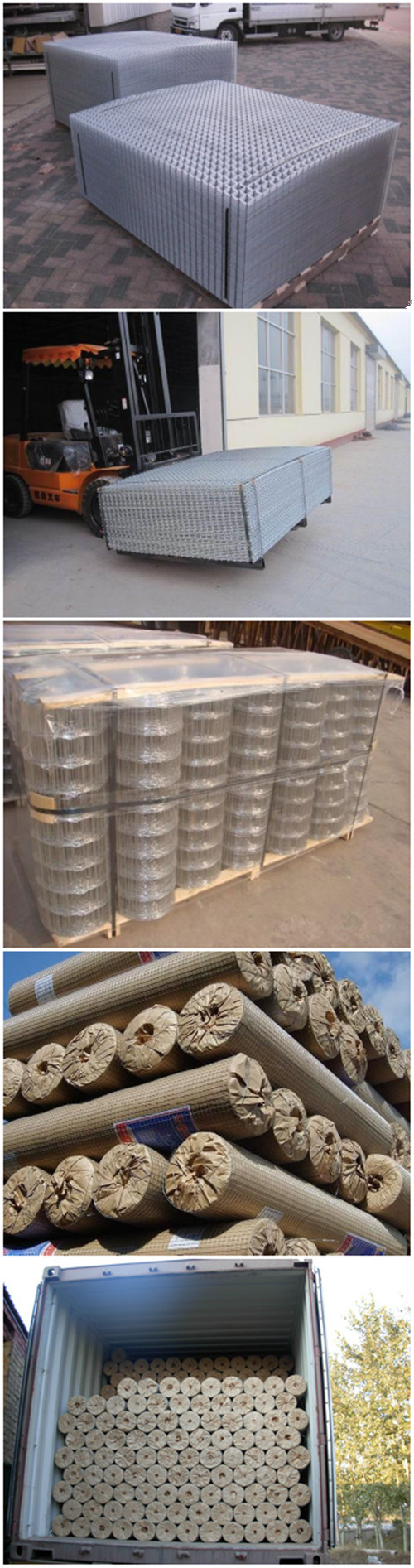 China Wholesaler of PVC Welded Wire Cloth (ZDWWC)