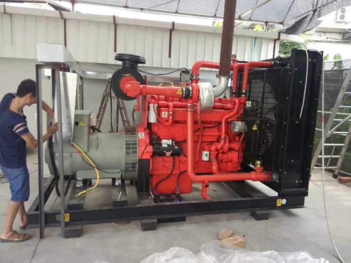 30kw-500kw High Quality Natural Gas/Biogas Fuel Commins Engine Generator