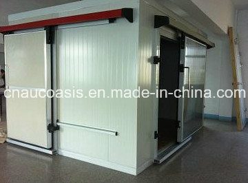 Cold Storage Room for Meat and Fish Indoor/Outdoor Use