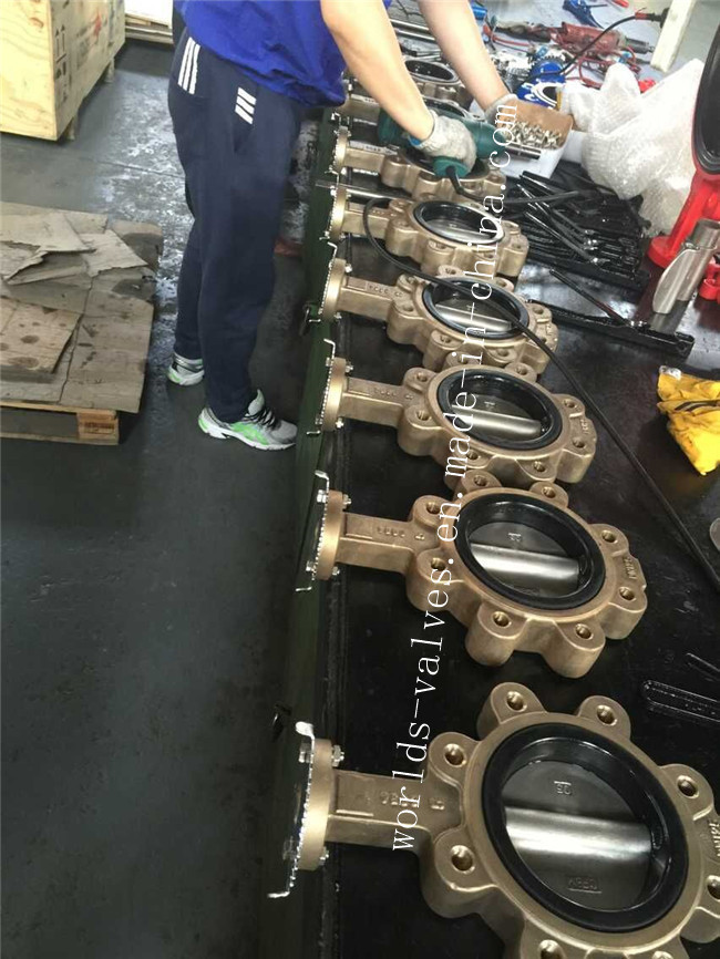 Marine Industry Valve for Sea Water