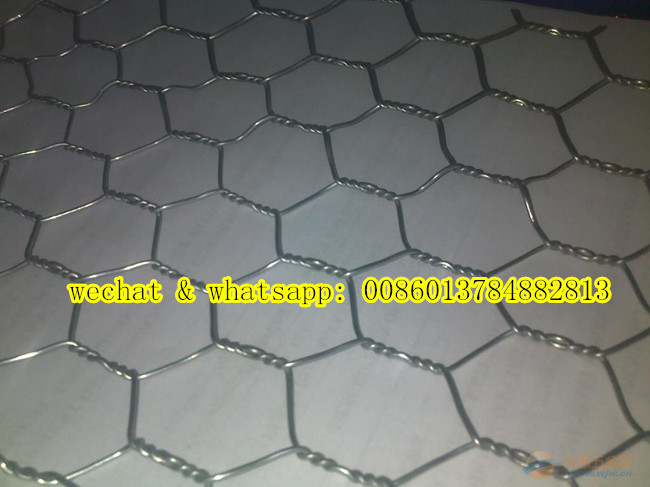 Good Quality Hexagonal Wire Mesh /Fence