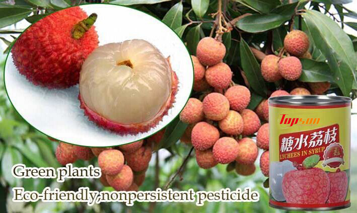 Best Selling Canned Lychees in Glass Bottle