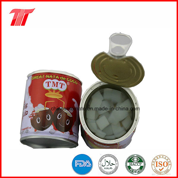 210g Tmt Brand Healthy Canned Nata De Coco