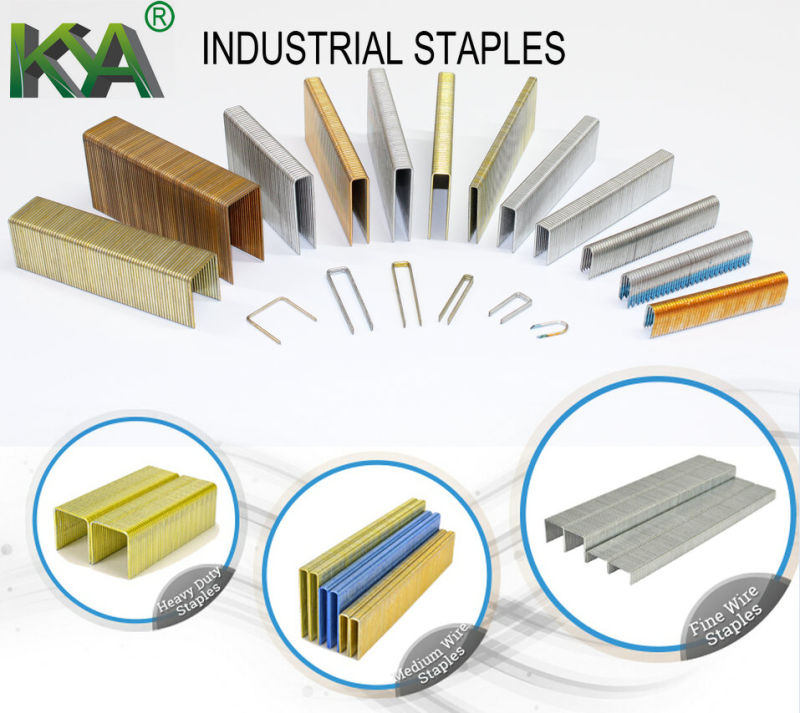 Galvanized Snw Series Staples for Roofing, Packaging and Building