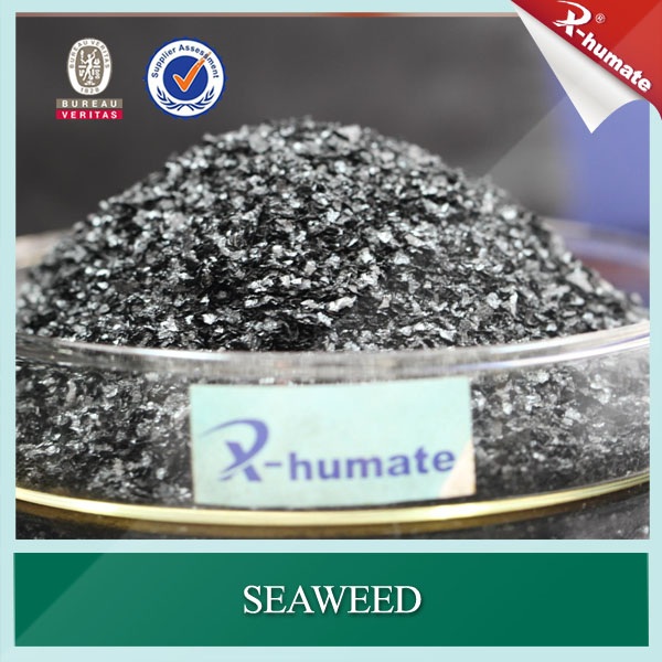 100% Water Soluble Seaweed Extract Used for Plant Growth Agent