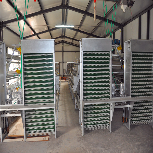 Poultry Cages for Chicken Farm