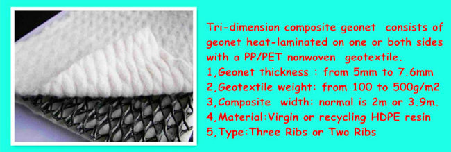 Geonet Composite Geoteixtle Flownet Drainage Media