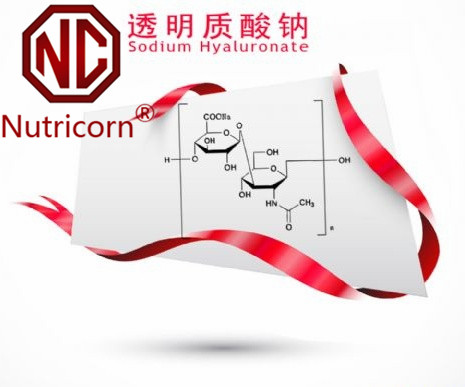 Food Grade Hyaluronic Acid / Sodium Hyaluronate