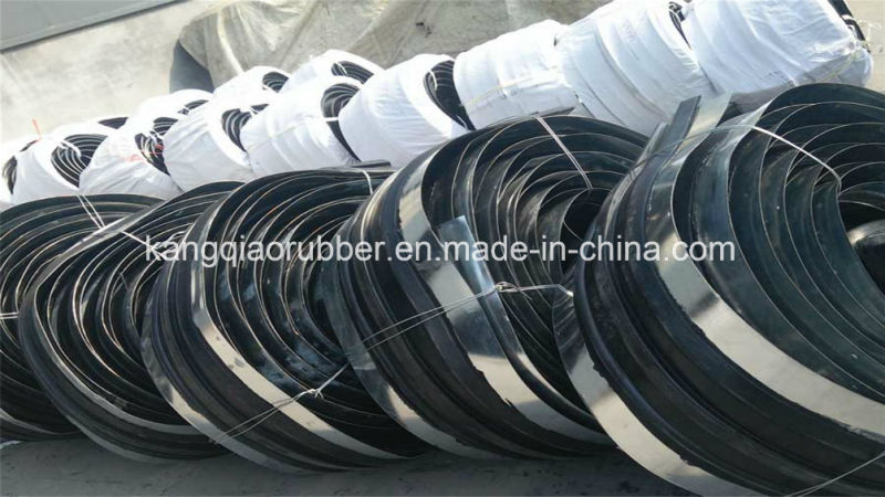 Steel-Edged Rubber Water Stop/Rubber Water Stop