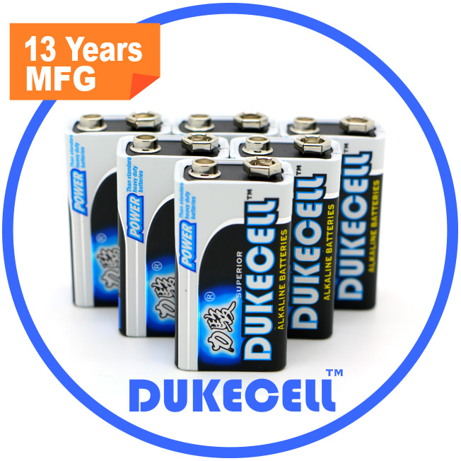 9V High Performance Alkaline Battery