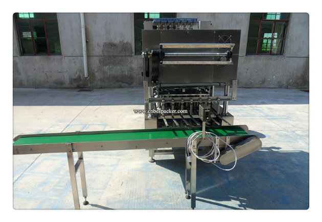 Linear Type Manual Plastic Cup Sealing Machine