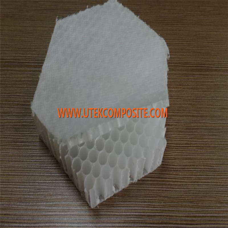 Thickness 20mm PP Honeycomb Core for Boat Manufacturing