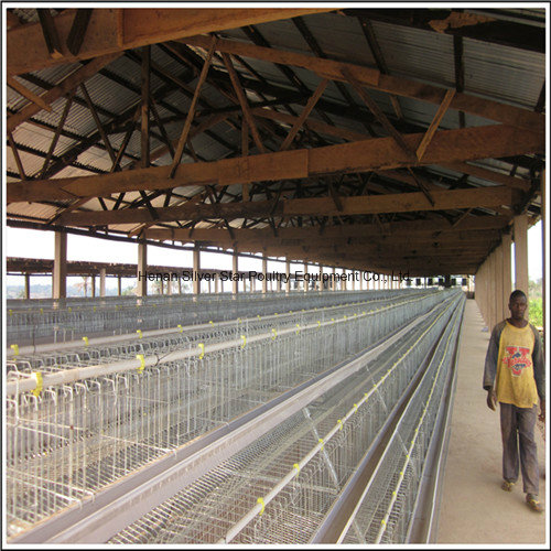 Poultry Farm Layer Cages (4L120)