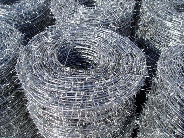 Galvanized Barbed Wire (factory ISO9001)