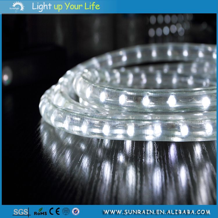 LED Rope Light (2wire White)