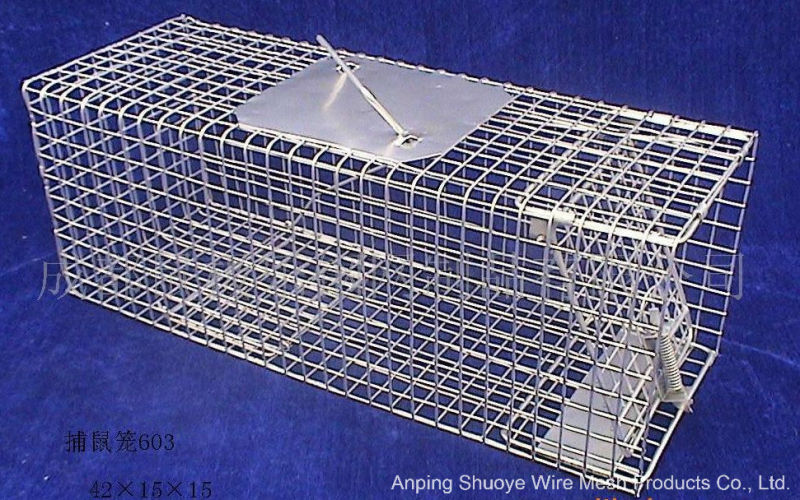 Galvanized Steel Wire Mesh Mouse/Rat Trapping Cage