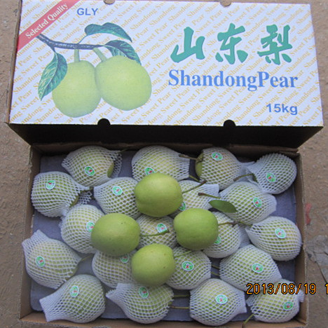Top Quality Chinese Fresh Shandong Pear