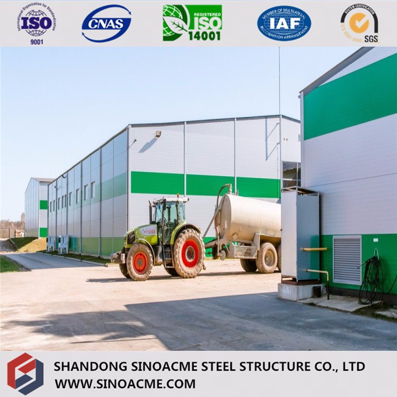 Quality Guaranteed Steel Structural Building/Construction/Warehouse