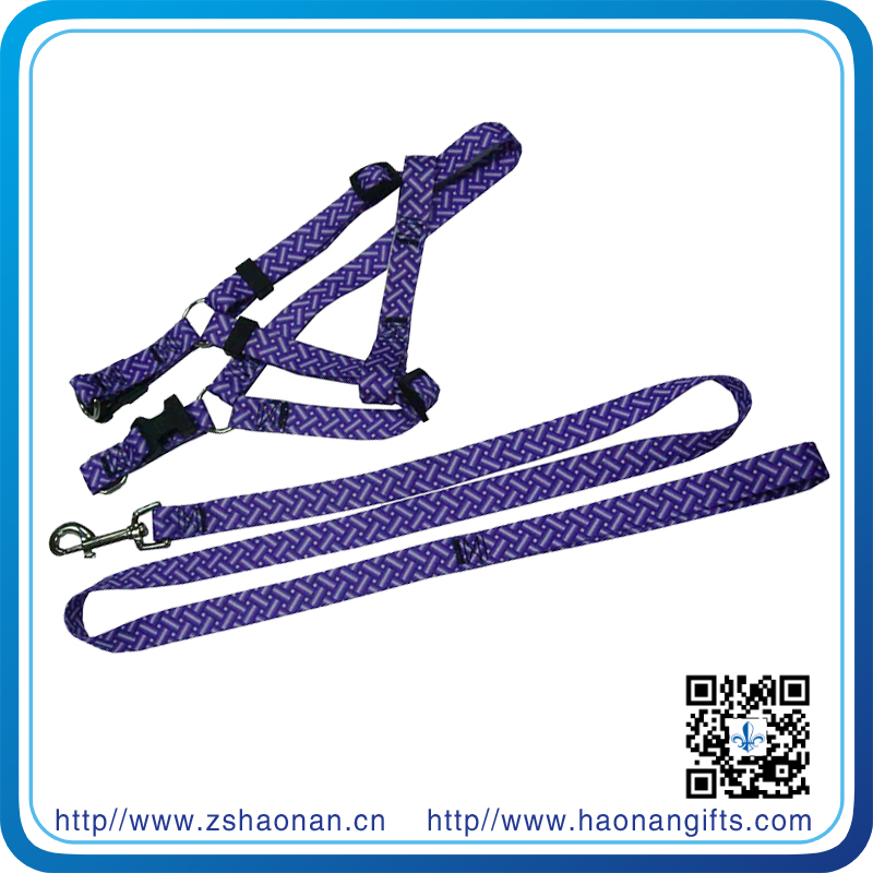 Custom Stretch Dog Leash with Colar for Promotiona Items