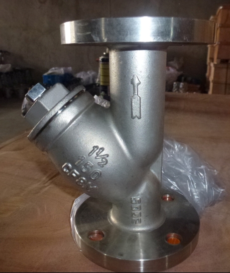 ANSI Flange End Y-Strainer with Stainless Steel RF