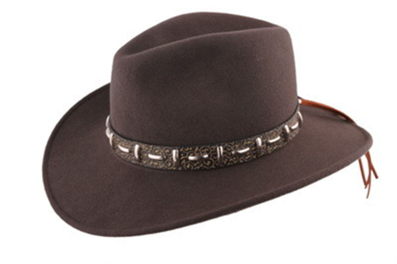 Brown Cowboy Style Fashion Felt Hat with Big Brim (CW0006/08)