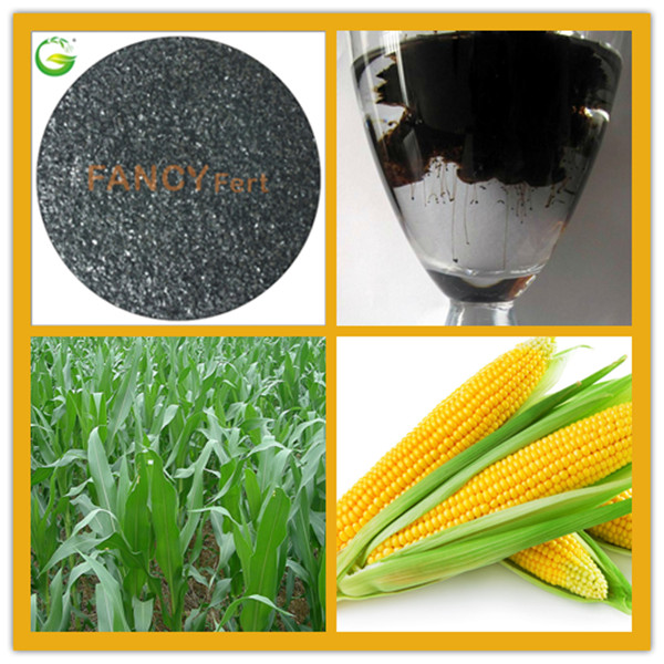 Organic Humic Acid Chelated Iron Fertilizer for Agriculture