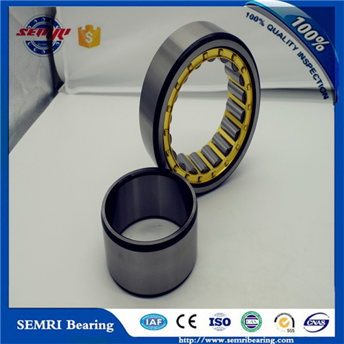 NSK Precision Cylindrical Roller Bearing (NU238M)