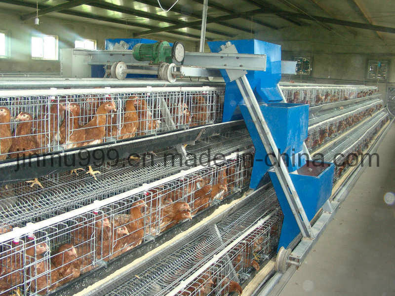 Farm Poultry Machinery Chicken Frame Layer Cage