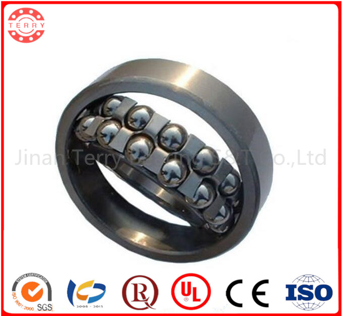 The Best Quantity Self-Aligning Ball Bearing, Double Row Spherical Ball Bearing (1210)