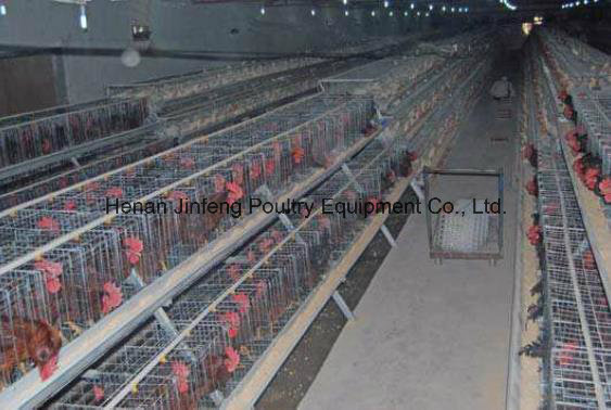 a Type Automatic Chicken Equipment Frame Cage for Farm Use (JFLS0621)