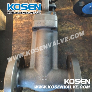 Forged Bellow Sealed Gate Valves (WZ41)