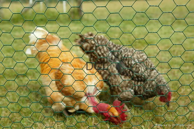 PVC Coated Hexagonal Wire Mesh for Chicken (YB-20)