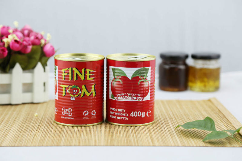 Organic and Healthy 400 G Canned Tomato Paste with OEM Brand