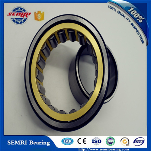 Food Equipment Bearing Cylindrical Roller Bearings (NUP340M)