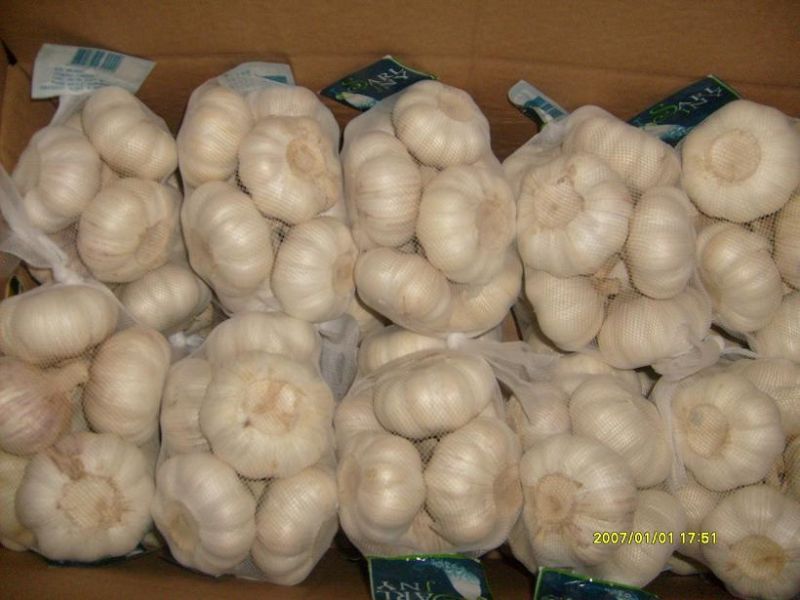 Loose Packing Fresh Normal White Garlic