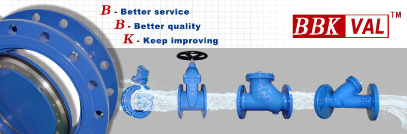 RS Gate Valve Cast Steel Gate Valve DIN Standard RS Gate Valve