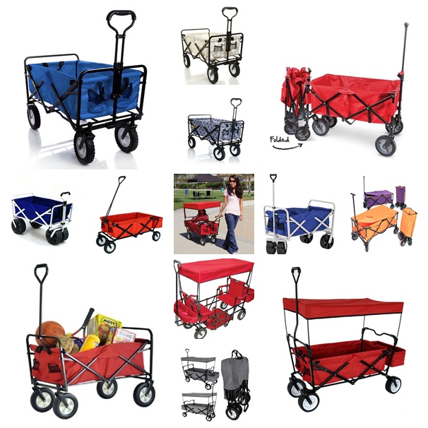 Folding Wagon with Canopy