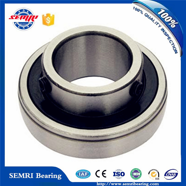 Germany Pillow Block Bearing with Bearing Housing (UCP211)