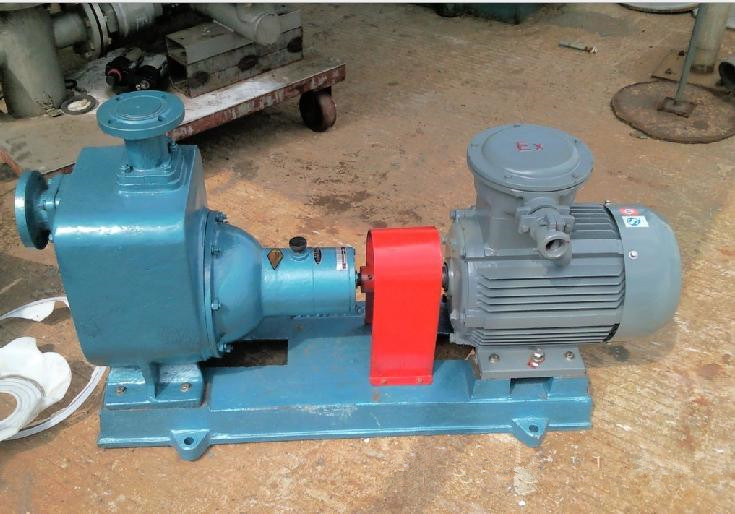 Cyz-a Self-Priming Centrifugal Fuel Electric Pump