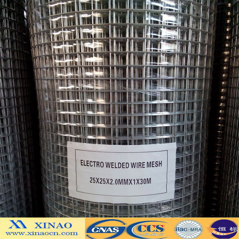 Welded Wire Mesh Aviary Mesh (XA-WWM57)