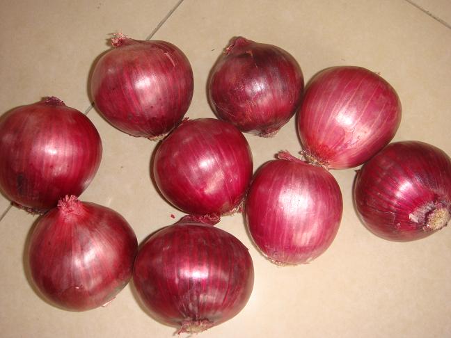 High Quality New Crop Fresh Red Onion (3-5cm)